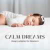 Sleep Lullabies for Newborn - Sleepy Stars