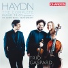 Trio Gaspard、Franz Joseph Haydn - Piano Trio No. 19, Op. 43, Hob. XV: 6 No. 1: I. Vivace