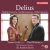 tasmin little、Paul Watkins、BBC Symphony Orchestra、Frederick Delius、andrew davis - I. Quietly