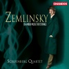 Schoenberg Quartet、Trevor Pinnock - I. Allegro con fuoco