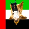 nonsigne、Ituana - Sheikh (Explicit)