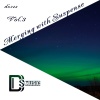 Josh O'nell、Angel Falls - Shade (Alexey Bochkarev Remix)
