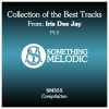 Iris Dee Jay、John James Renfrow - In Love (Original Mix)