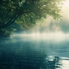 Restful Night Relaxation、Relaxing Restaurant Music、Relaxing Music for Bath Time - Relaxation Tranquil Tunes