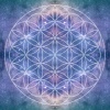 Aum Akashic Records - Lovellaby (Explicit)
