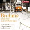 Paul Watkins、Ian Brown、Johannes Brahms - I. Allegro non troppo