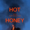 Tiësto、Alana Springsteen《Hot Honey》[MP3/LRC]