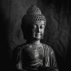 Buddha's Flute - Buddha's Satisfaction