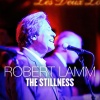 Robert Lamm - The Stillness