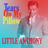 little anthony《Tears on My Pillow》[MP3/LRC]