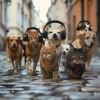 Calming Music For Pets、Cozy Home、Calm Pets - Tender Touch Songs
