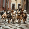 Neural Oscillations Alpha Sounds、Sleeping Pet Music、Native Flute Ensemble - Snuggles Draw Near