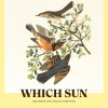 Ben Reneer、Eric Michael Robertson - Which Sun