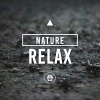 Nature Sounds - Forest Song