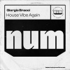 Giorgio Bracci - House Vibes Again