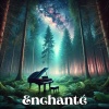 Beautiful Piano Music World - Midnight Melodies