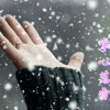 追梦 - 掌心落雪