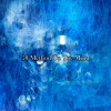 Ambient Forest - Balancing The Calm