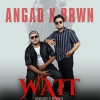 BRWN Music、Angad、Vishal - Wait (feat. Angad & Vishal)(Explicit)