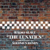 radio slave、solomun - The Lunatics (Solomun Remix)