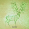 Quadrumana - Centrally Symmetric