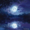 Michael Lee - Moonlit Serenity