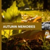 Jazz Followers、Alternative Jazz Lounge、Java Jazz Cafe - Autumn Memories
