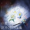 许文文 - 山茶花比不过白玫瑰