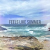 ROAM、Lunarpanels《FEELS LIKE SUMMER (feat. Lunarpanels)(Explicit)》[MP3/LRC]