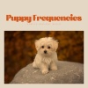 Calming Music For Pets - Lagoon's Loyalty