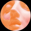 n.o.h.a.、Pathagonia、Alex Tea - Chi Ci Pensa (Radio Edit)