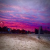 Wavy Jone$、Coma. - Pink Sky