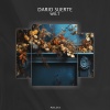 Dario Suerte - Welt (Original Mix)