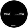 DJ Joys - Vida Eterna