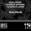 Paul Ross、Daniele Soriani、Gianrico Leoni - Salinas (Main Mix)