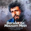 kumar sanu、roop kumar rathod、Farooq Got Audio - Barsaat Ke Mausam Mein (Remix)
