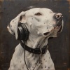 Academia de música de mascotas tranquilas、Feliz domingo por la mañana música、Surf de sol - Los Sonidos De Relajación Para Mascotas Calman
