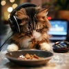 Music Bliss、Cat Dreams、Catching Sleep - Kitten Cozy Cadence