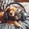 Soft Pet Music、The Animal Group、World Pet Music - Quiet Animal Heartbeats