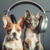 Deep Night Pets、Happy Music for Retail Stores、Night Pet Music - Calm Harmony for Pets