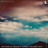 Drifting Pitches《An Oasis of Serenity Amidst the Night Sky (Original Mix)》[MP3/LRC]