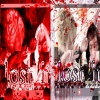 9aradox、Coven - LOST IT (feat. coven)