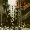 THE HEART - Chapman