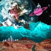 Adam Huber - Jungle