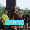 DOMINO - Selendang Biru