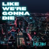 Roger Junior - Like We're Gonna Die