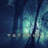 大师 - 宇宙尽头的碎片 (1.2x致敬我的摄影梦版)