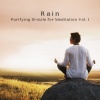 Relax Meditation Sleep、The White Noise Zen & Meditation Sound Lab、Chakra Meditation Specialists《Rain Soothing Sound》[MP3/LRC]