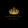 DJ Didit - SEKECEWA ITU