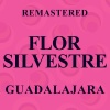 Flor Silvestre - Guadalajara (Remastered)